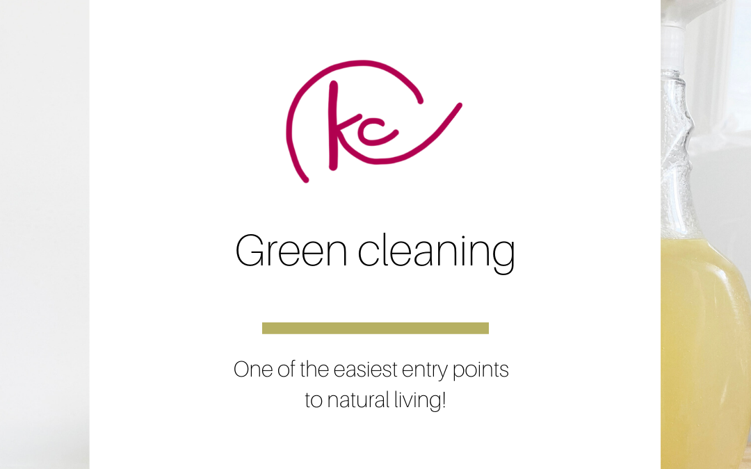 Green cleaning make and take