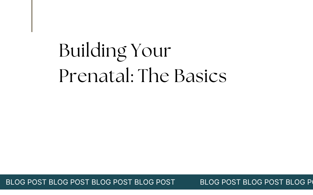 Building Your Prenatal: The Basics