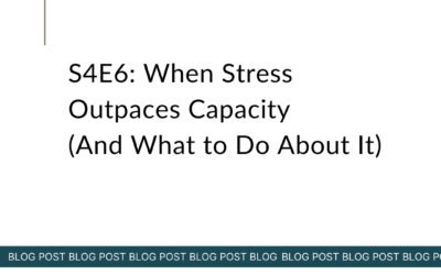 S4E6: When Stress Outpaces Capacity (And What to Do About It)