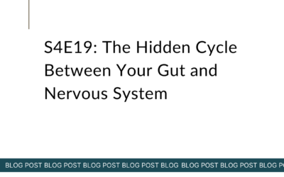 S4E19: The Hidden Cycle Between Your Gut and Nervous System
