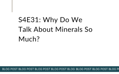 S4E31: Why Do We Talk About Minerals So Much?
